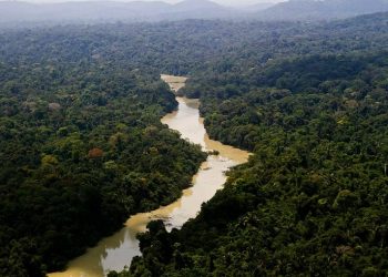 Cúpula da Amazônia começa nesta terça-feira em Belém