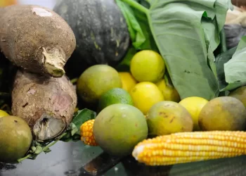 Agrotóxicos: 25% dos alimentos de origem vegetal no país têm resíduos