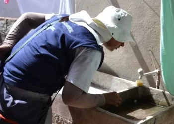 João Pessoa registra mais de 50 casos de dengue nos primeiros dias de 2024