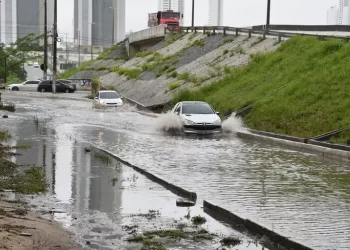 João Pessoa registra alagamentos, queda de árvores e desabamentos