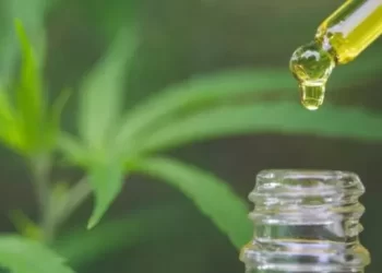 Produtos derivados da maconha: benefícios terapêuticos e obstáculos ao acesso – Por Hermano Araruna