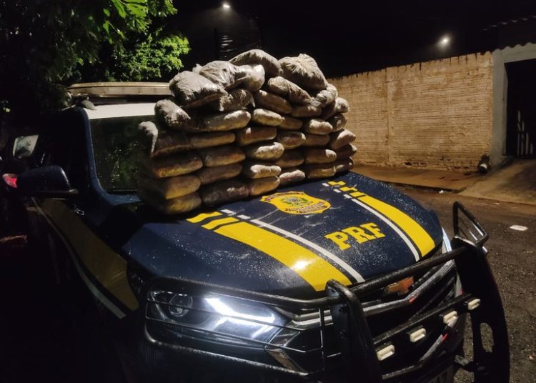 Custo da guerra às drogas expõe desigualdades e aponta caminhos urgentes